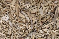 biomass boilers Balne